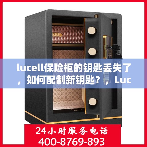 lucell保险柜的钥匙丢失了，如何配制新钥匙？，Lucell保险柜钥匙遗失，如何重新配钥匙的指南？
