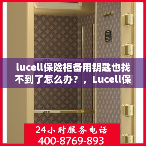 lucell保险柜备用钥匙也找不到了怎么办？，Lucell保险柜失去备用钥匙，该如何应对？