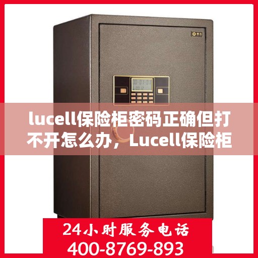 lucell保险柜密码正确但打不开怎么办，Lucell保险柜密码正确却打不开的解决方法