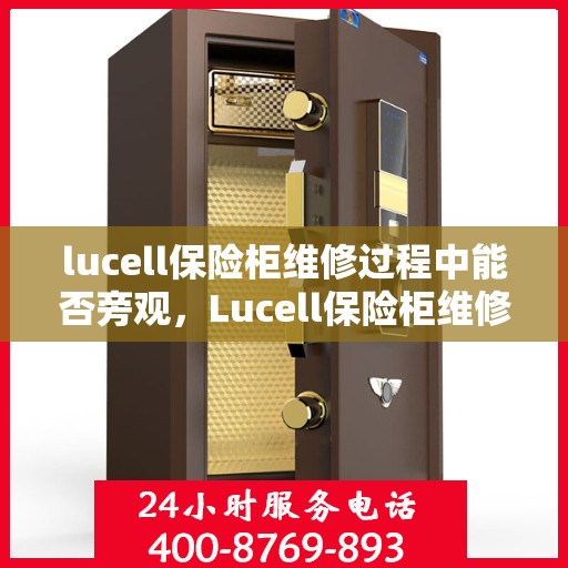 lucell保险柜维修过程中能否旁观，Lucell保险柜维修现场探秘，维修过程能否旁观？